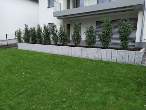 Moderne Rasenfläche mit Granit und Kirschlorbeerhecke